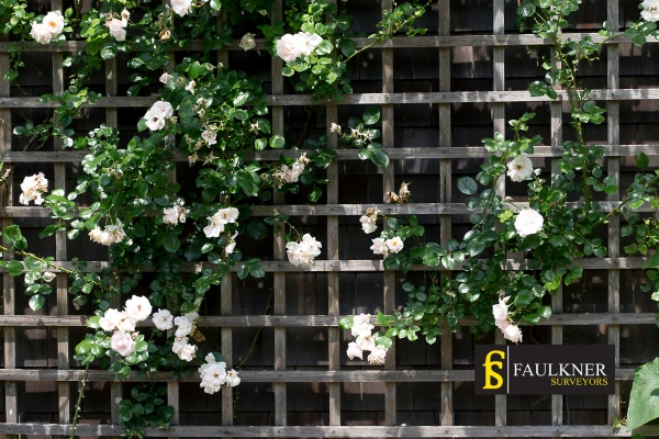 Can I put trellis on my Neighbours garage wall? 2 Do you want to adapt your neighbours garage door and add a trellis East-Grinstead? Talk to Faulkner Surveyor East-Grinstead
